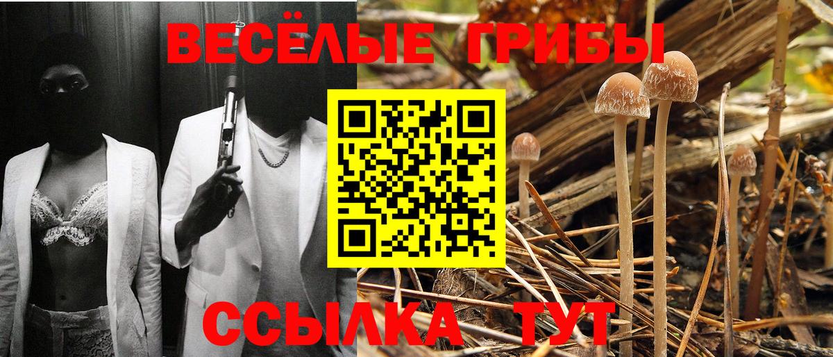 Псилоцибиновые грибы ЛСД Трёхгорный