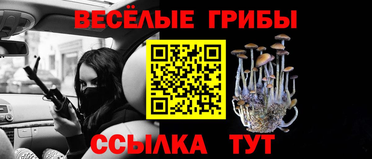 Галлюциногенные грибы прущие грибы  Псилоцибиновые грибы Psilocybe  Вход с VPN  Трёхгорный 